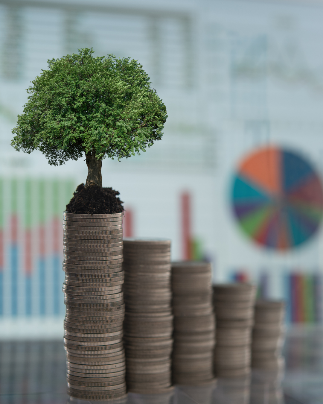 Kantfinance